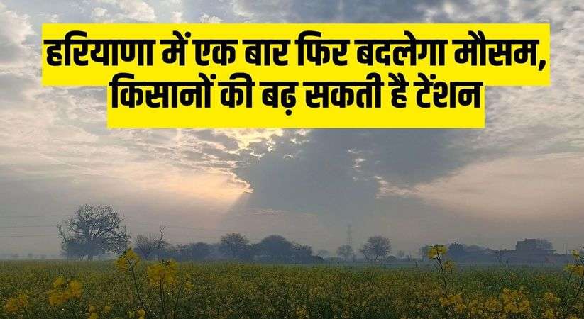 Haryana Weather Update: Weather will change once again in Haryana