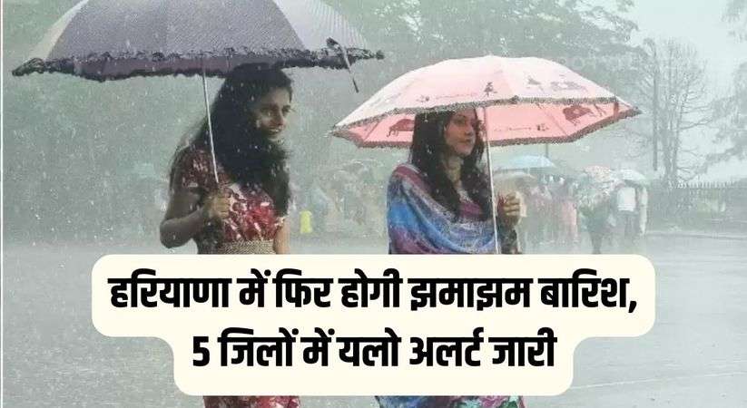 Haryana Weather: हरियाणा में फिर होगी झमाझम बारिश, 5 जिलों में यलो अलर्ट जारी