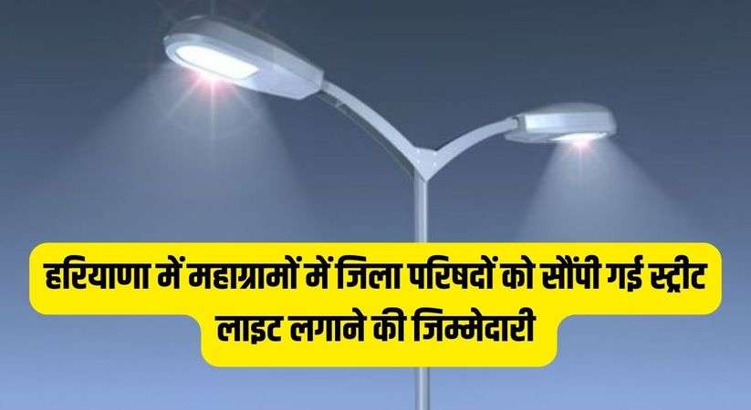 Haryana News: हरियाणा में महाग्रामों में जिला परिषदों को सौंपी गई स्ट्रीट लाइट लगाने की जिम्मेदारी 