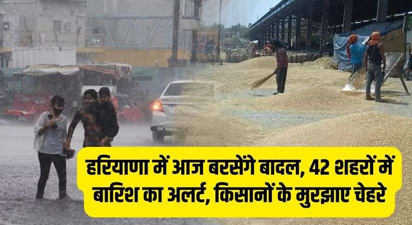 Haryana Weather Alert: हरियाणा में आज बरसेंगे बादल, 42 शहरों में बारिश का अलर्ट, किसानों के मुरझाए चेहरे