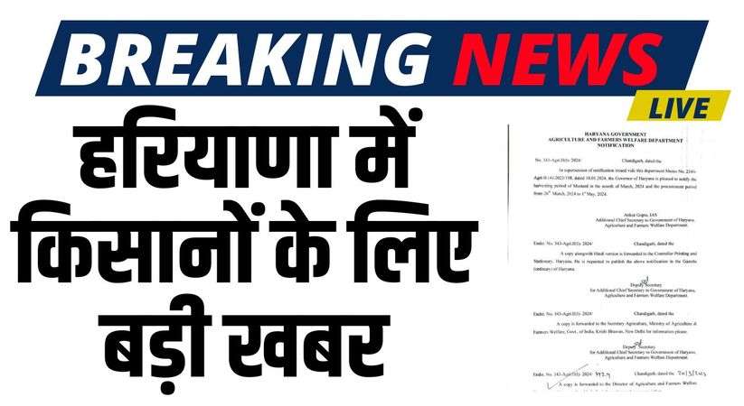 Haryana News: हरियाणा में किसानों के लिए बड़ी खबर, इस तारीख से शुरू होगी सरसों गेहूं की खरीद