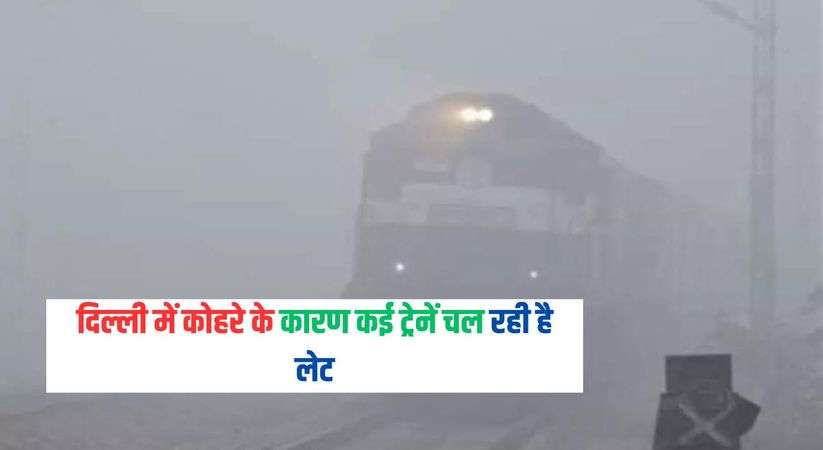 दिल्ली में कोहरे के कारण कई ट्रेनें चल रही है लेट