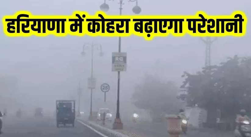 Haryana News: हरियाणा में कोहरा बढ़ाएगा परेशानी, 16 जिलों में हाईवे पर विजिबिलिटी 10 मीटर 