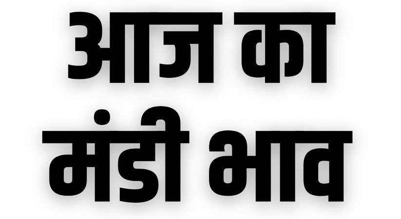 Aaj Ka Mandi Bhav 29 December 2023: हरियाणा और राजस्थान की मंडियों में नरमा, ग्वार, मूंग आदि फसलों का रेट, यहां करें चेक