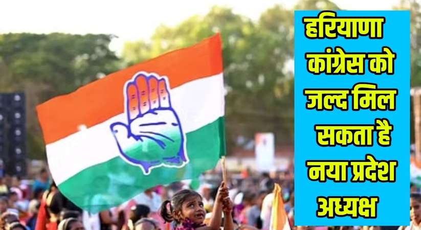 Haryana Congress: हरियाणा कांग्रेस को जल्द मिल सकता है नया प्रदेश अध्यक्ष, सूत्रों के हवाले से उदयभान की छुट्टी की पुख्ता खबर