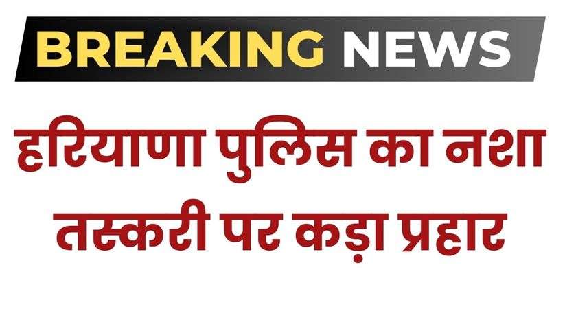 Haryana News: हरियाणा पुलिस का नशा तस्करी पर कड़ा प्रहार, 361 किलो गांजा पत्ती के साथ दबोचे 2 तस्कर 