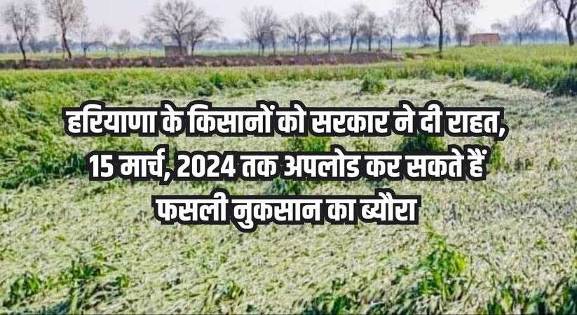 Haryana News: हरियाणा के किसानों को सरकार ने दी राहत, 15 मार्च, 2024 तक अपलोड कर सकते हैं फसली नुकसान का ब्यौरा
