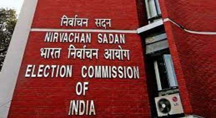 Haryana News: लोकसभा चुनाव को लेकर आयोग की तैयारियां तेज, मोबाइल पर सी-विजल एप डाउनलोड करने की अपील